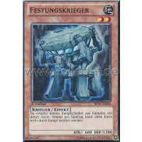 BP01-DE206 Festungskrieger