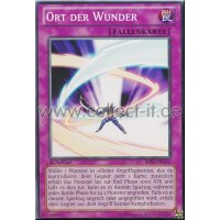 BP02-DE202 Ort der Wunder - Common